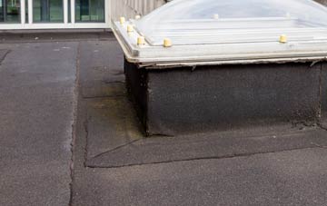 disadvantages of Row Heath flat roofs