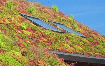 Row Heath living roof systems
