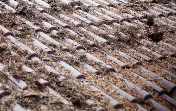 Row Heath roof cleaning companies