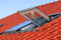 Row Heath roof window